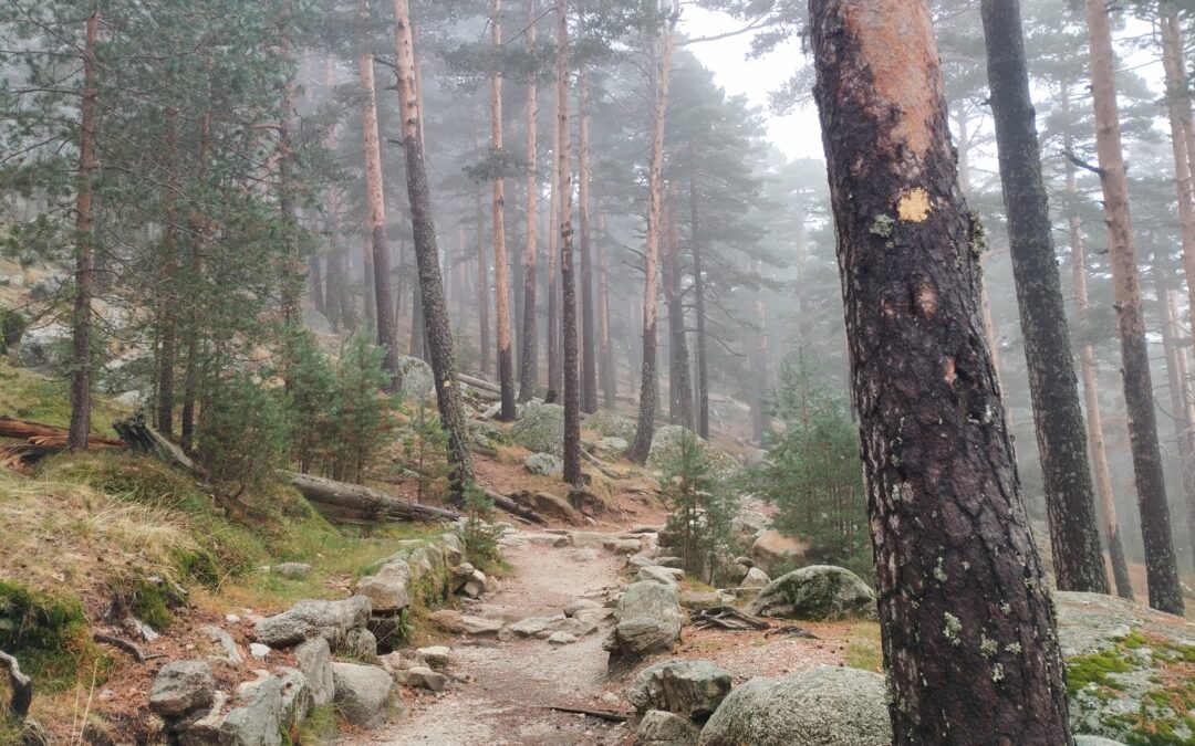 Ruta por la Sierra de Madrid