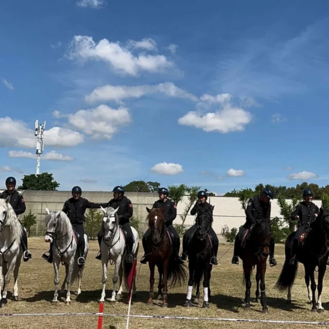 Varios alumnos de Administración y Finanzas disfrutan de una jornada diferente asistiendo a la exhibición de caballos y perros de la Policía Municipal durante sus prácticas en empresa. ¡Aprendiendo más allá del aula!

#SomlsLaSalle #LaSalle #MiraMásAllá #TiempoDeCuidarTiempoDeCrear
#ILSA_FP #FormaciónProfesional #FPConFuturo
#AprenderHaciendo